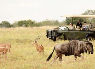 kruger national park day visit prices
