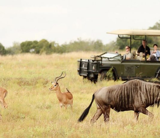 kruger national park day visit prices