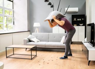 Should I Do My Own Pest Control? Should I Do My Own Pest Control?