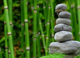 The Beauty of Growing: Exploring the Wonders of Gardening The Beauty of Growing: Exploring the Wonders of Gardening