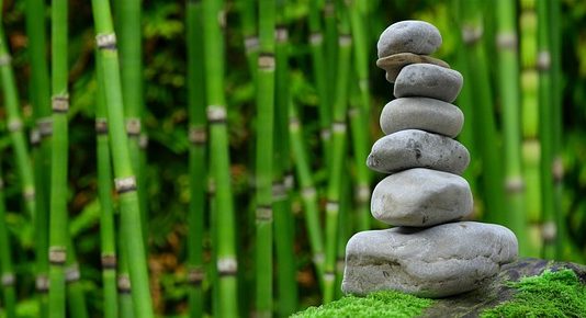 The Beauty of Growing: Exploring the Wonders of Gardening