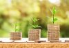 Making Money from Your Hobbies: Strategies for Income Streams
