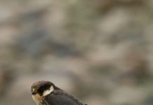 5 Strategies to Turn Your Hobby Into an Income Stream 5 Strategies to Turn Your Hobby Into an Income Stream