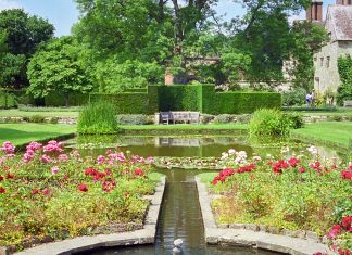 Captivating the Senses: Exploring a Garden’s Delights