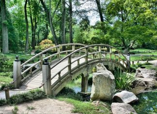 Gardening 101: Tips and Tricks for Growing a Vibrant Garden